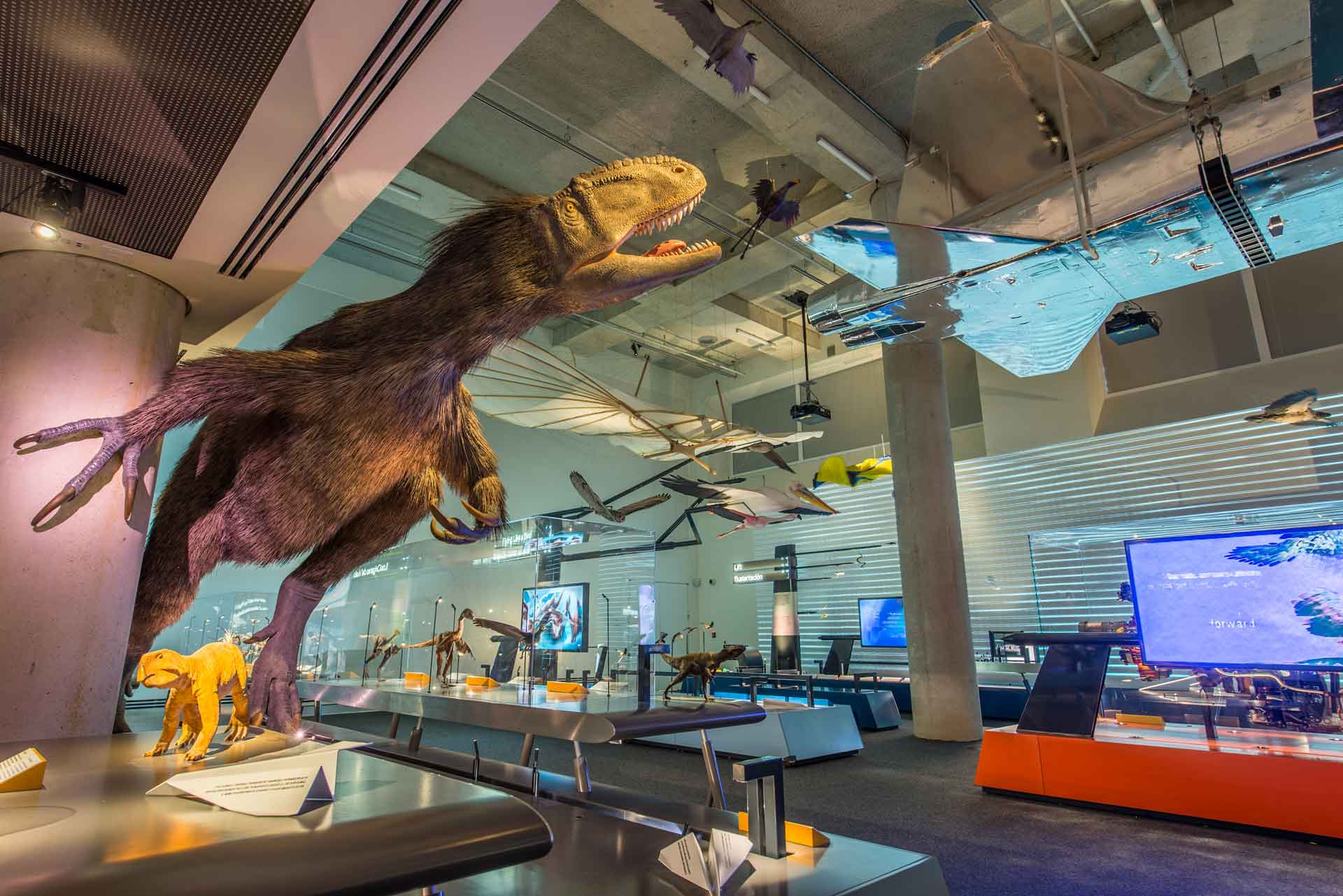 The exhibit displays a towering Tyrannosaurus rex model, poised as if caught in a roar with its teeth bared. Surrounding it are various smaller dinosaur replicas suspended mid-air and interactive educational displays, all set within a modern museum ambiance.