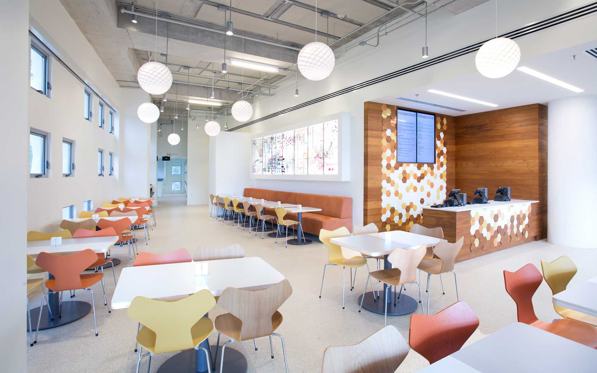 A modern cafeteria with multicoloured chairs and tables is bathed in natural light from a large window, while round lights hang from the ceiling and a digital screen adorns the far wall.