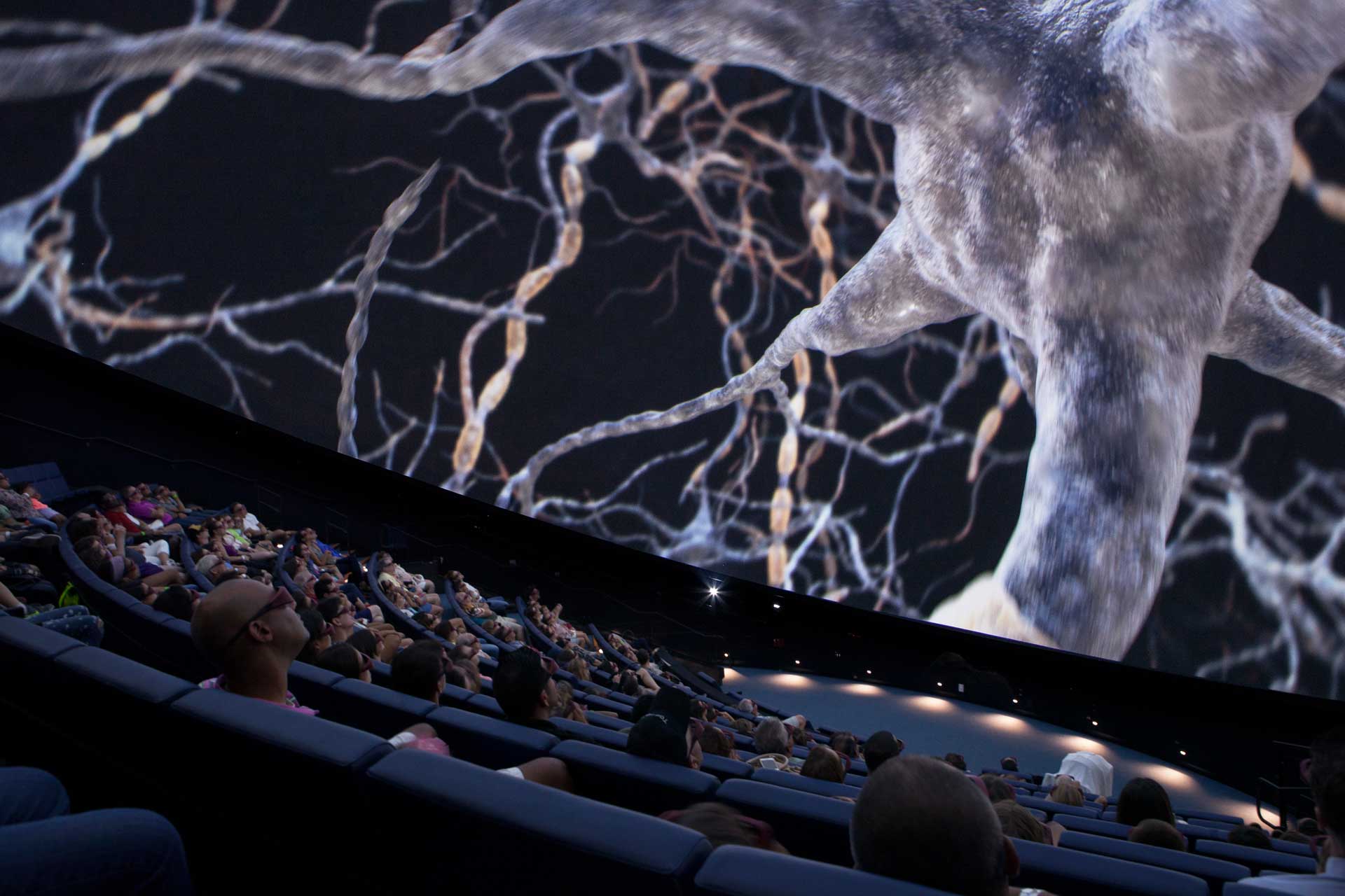 The audience is seated facing a large screen that displays an intricate neuron network, symbolizing scientific exploration.