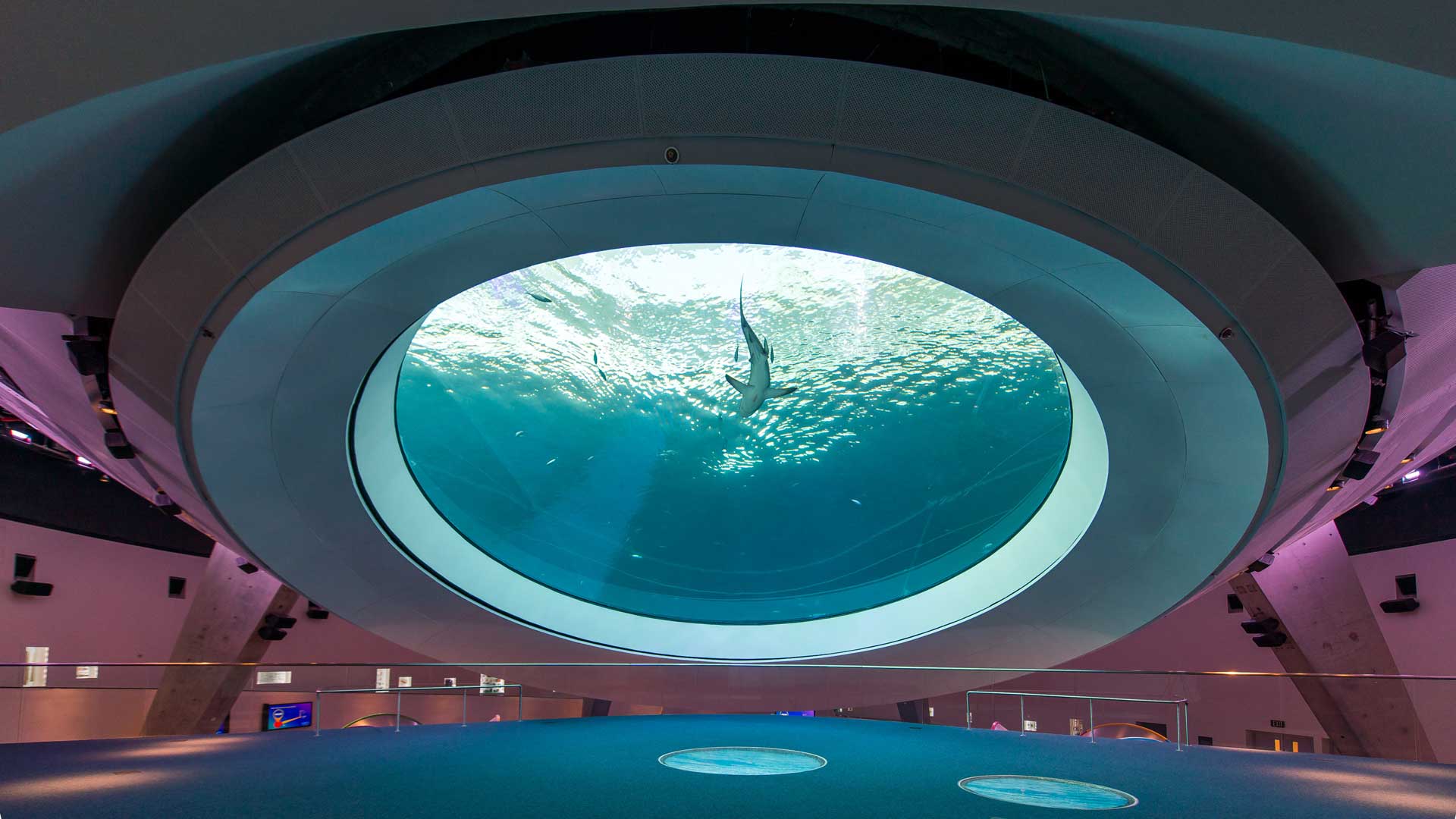 An expansive circular aquarium is embedded in the ceiling, offering a view of the aquatic depths from below as light dances through the water.