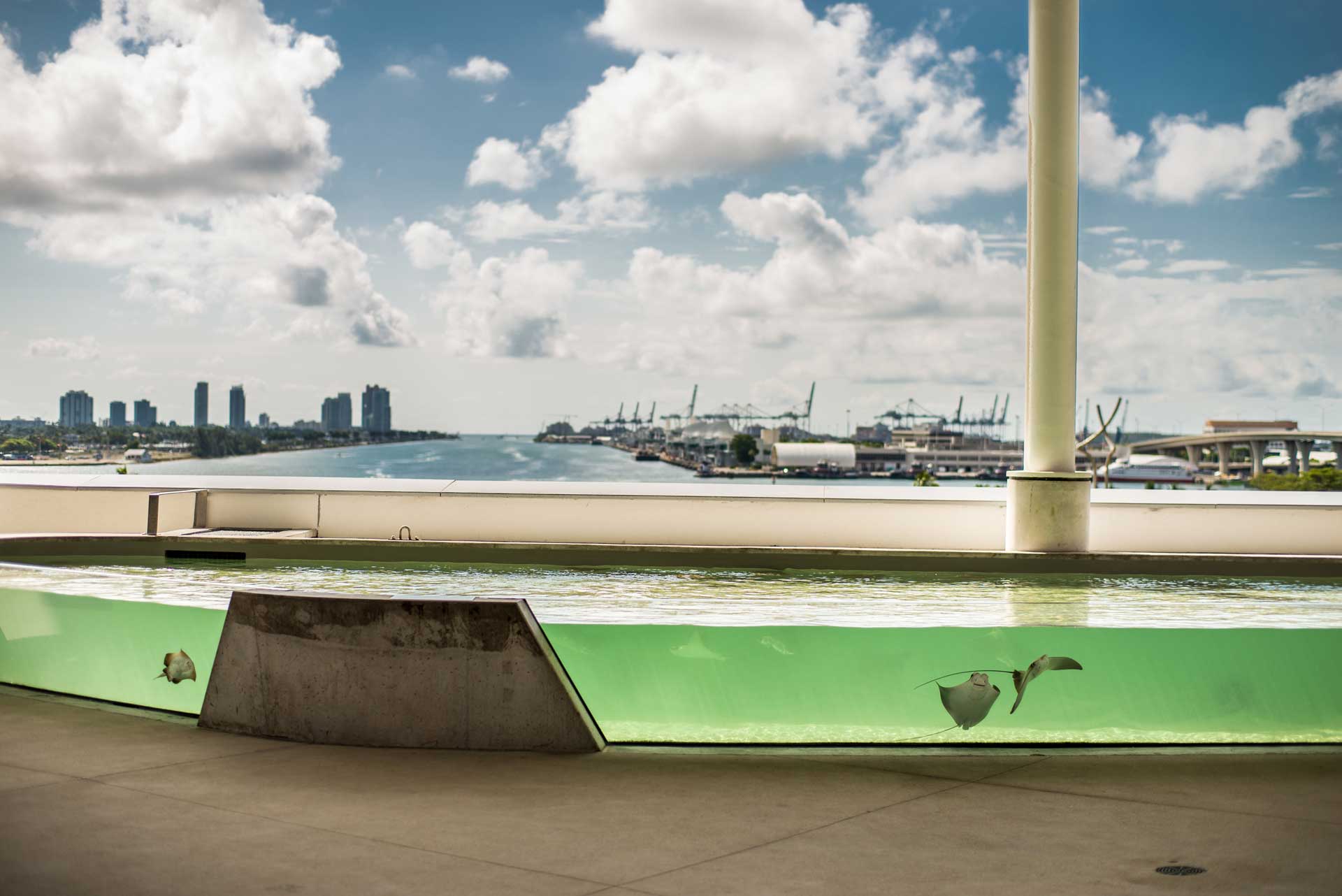 A view from an outdoor setting featuring a body of water and a distant city skyline. In the foreground, an architectural feature resembling an aquarium with fish decals creates the illusion of an actual fish tank within the structure.