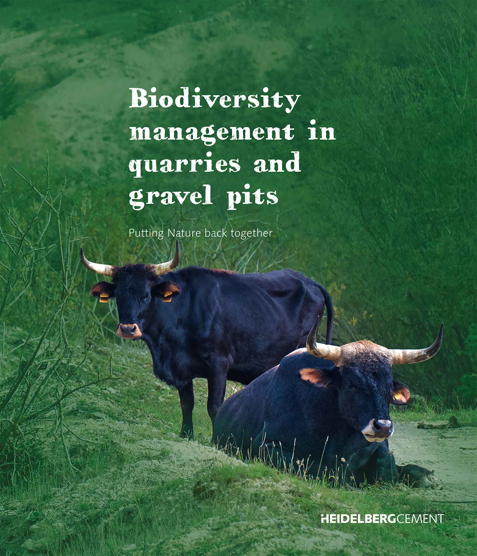 A book cover with two black cows standing in a field. The title is "Biodiversity management in quarries and gravel pits: Putting Nature back together" and the author is HeidelbergCement.