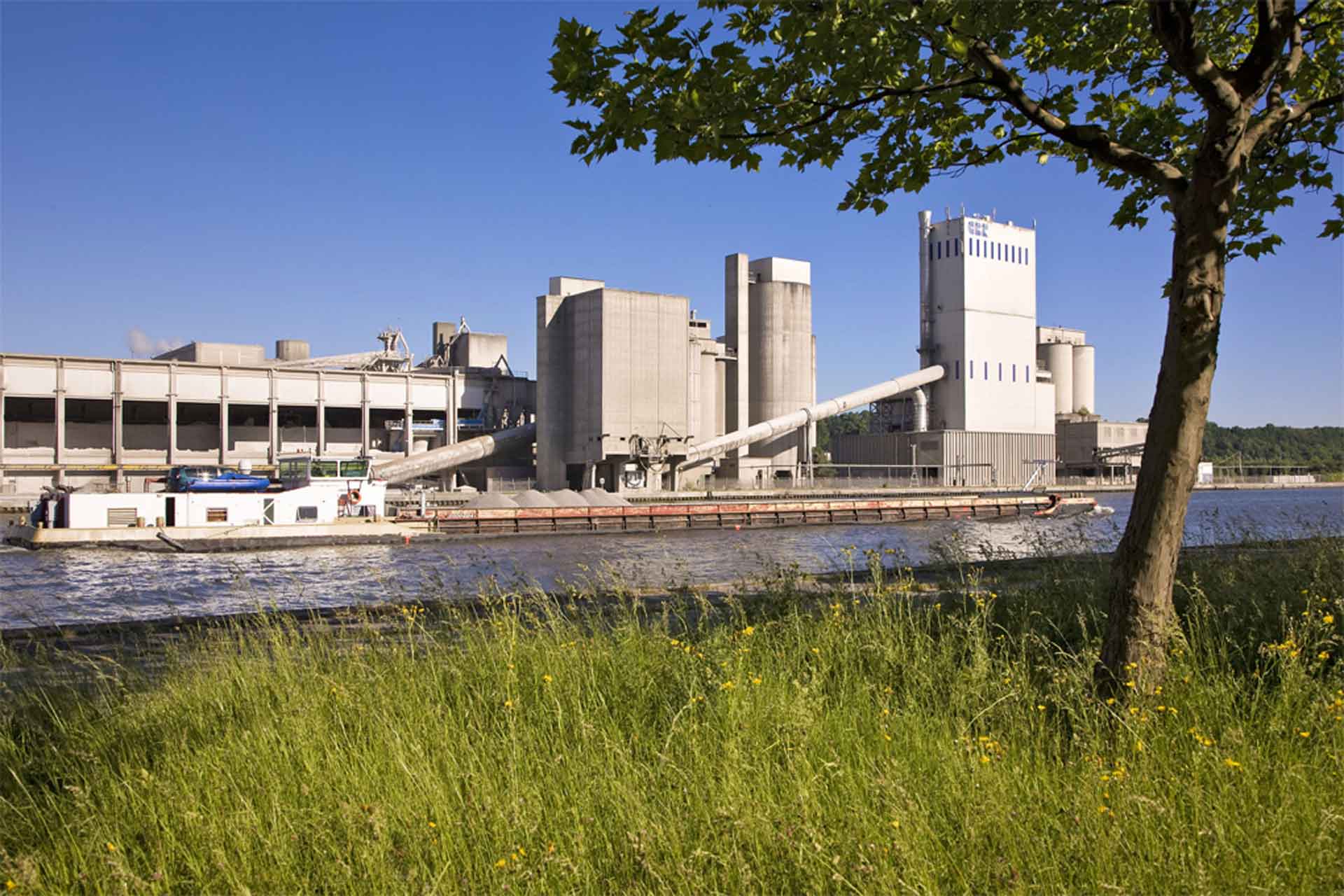 A plant behind a river