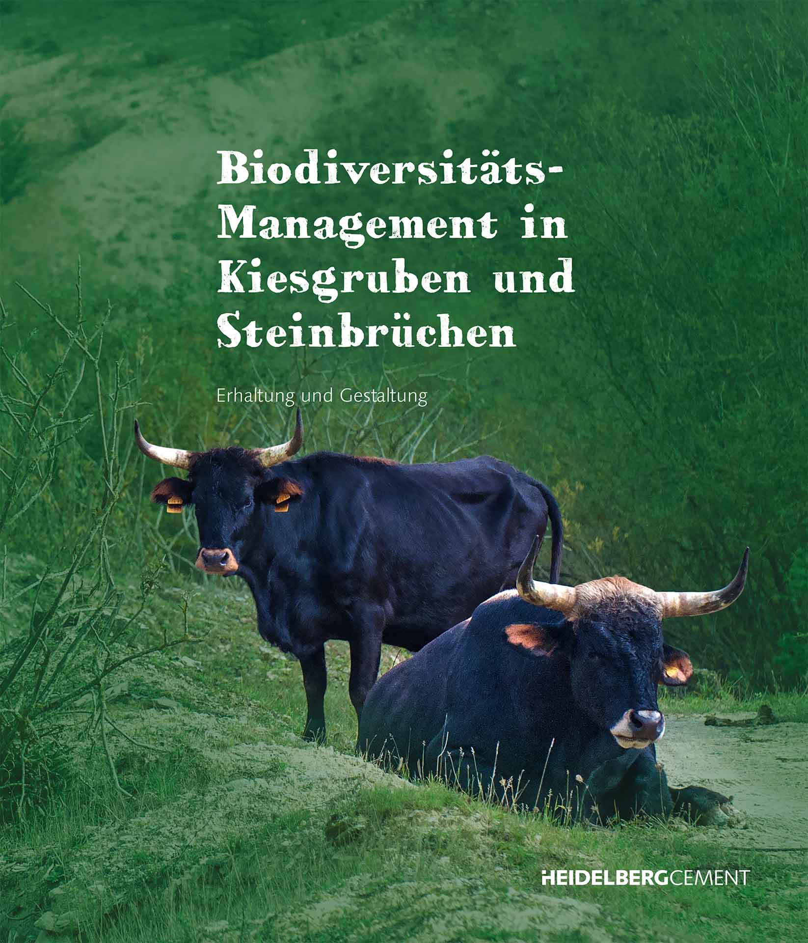 Buchtitel "Biodiversitäts-Management in Kiesgruben und Steinbrüchen", darauf sind zwei Rinder auf einer Wiese