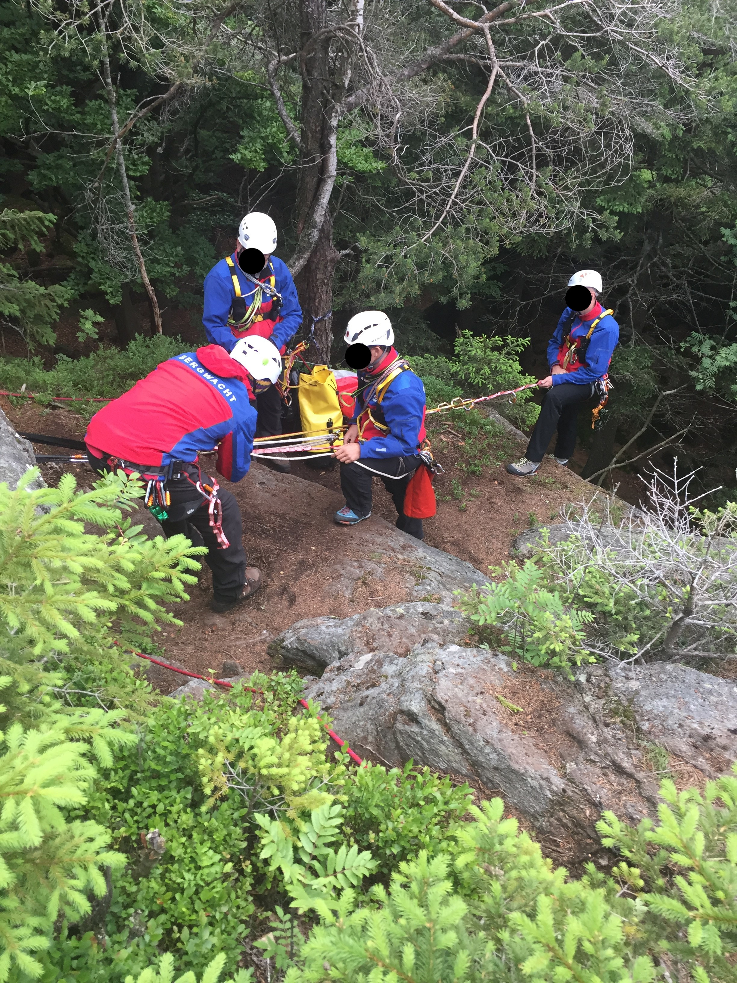 Four people with helmets on a wooded mountain, two of them secured with ropes.